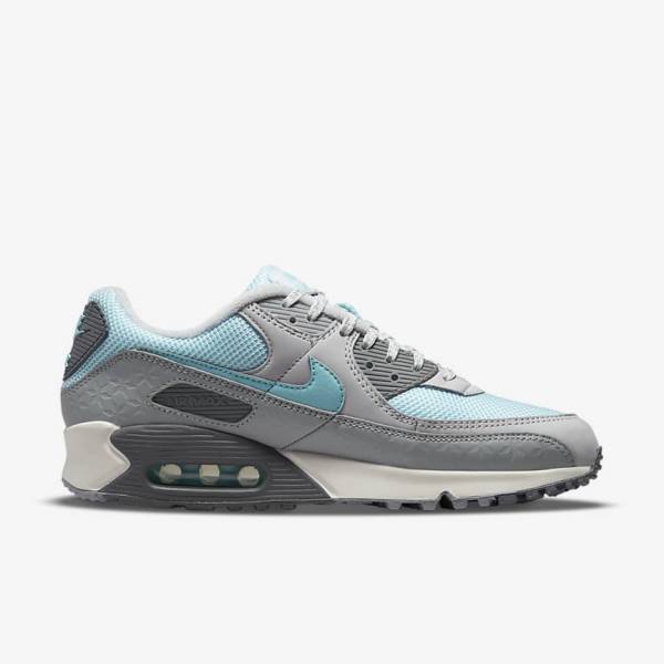 Nike Air Max 90 Men's Sneakers Grey / Platinum | NK375EPL