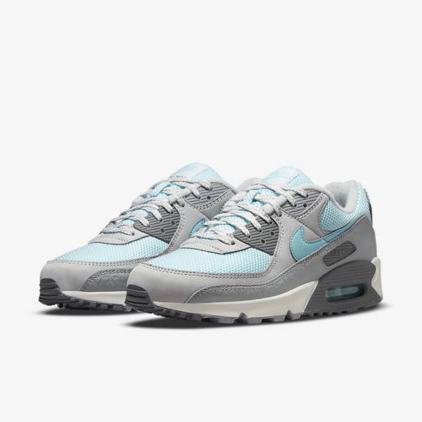 Nike Air Max 90 Men's Sneakers Grey / Platinum | NK375EPL