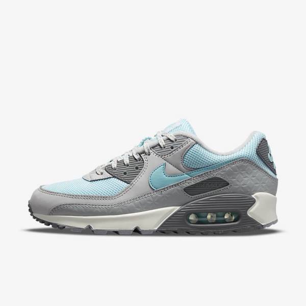 Nike Air Max 90 Men\'s Sneakers Grey / Platinum | NK375EPL