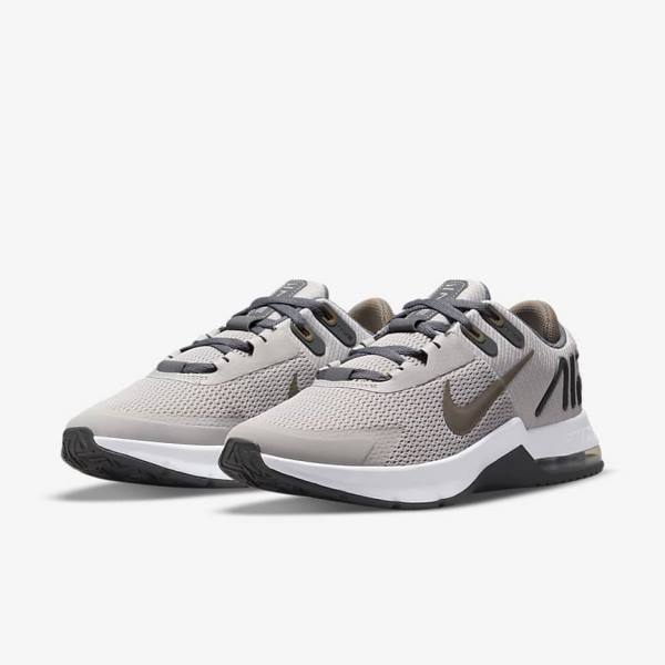 Nike Air Max Alpha Trainer 4 Men's Training Shoes Grey / Olive Grey | NK185DVN