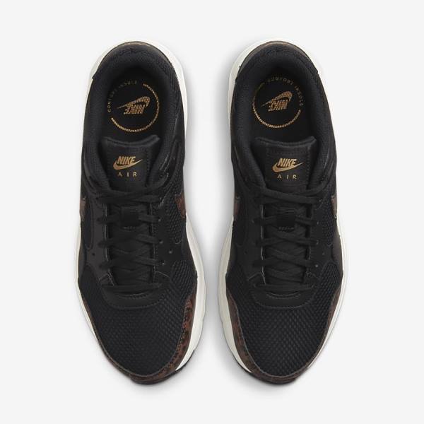 Nike Air Max SC Women's Sneakers Black / Metal Gold / Brown | NK657MJQ