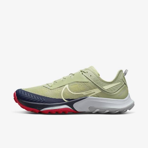 Nike Air Zoom Terra Kiger 8 Trail Men\'s Running Shoes Olive / Light Beige / Obsidian | NK910AMQ