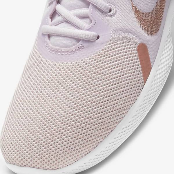 Nike Flex Experience Run 10 Road Women's Running Shoes Light Purple / White / Metal Red Brown | NK187GWB