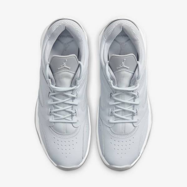 Nike Jordan Point Lane Men's Sneakers Platinum / White / Grey | NK960UEQ