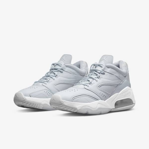 Nike Jordan Point Lane Men's Sneakers Platinum / White / Grey | NK960UEQ