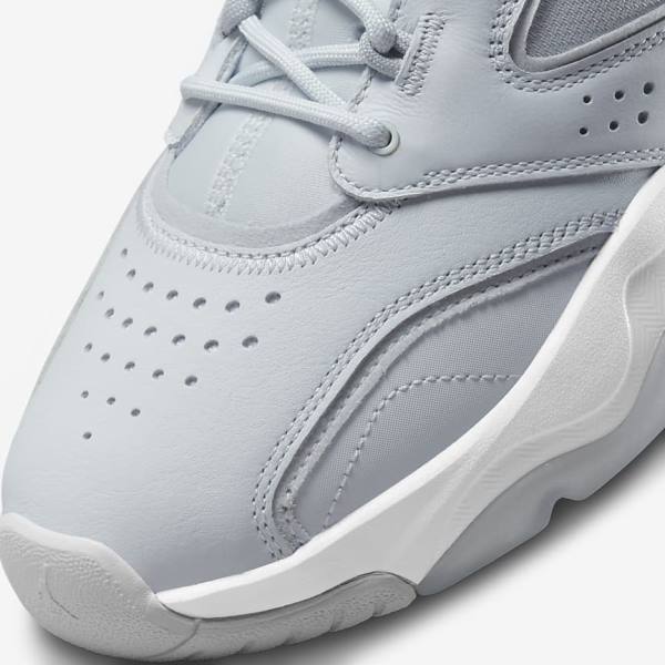 Nike Jordan Point Lane Men's Sneakers Platinum / White / Grey | NK960UEQ