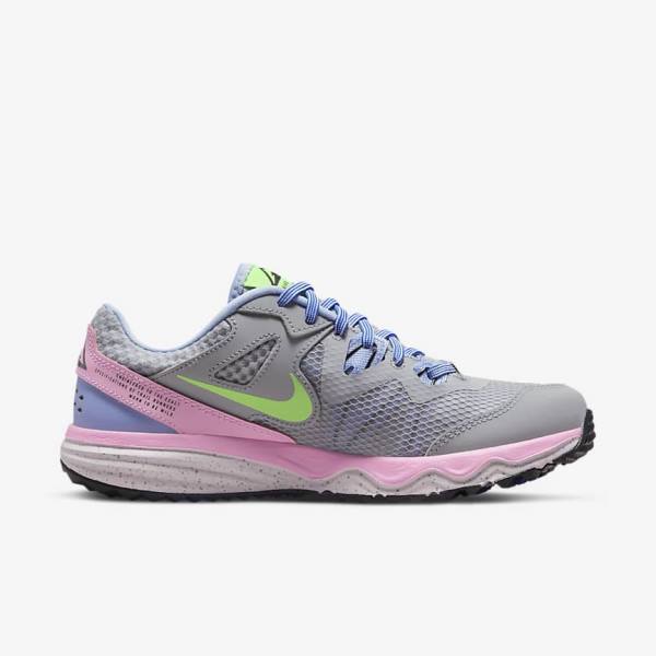 Nike Juniper Trail Trail Women's Running Shoes Grey / Light Blue / Pink / Green | NK729LSW