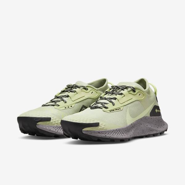 Nike Pegasus Trail 3 GORE-TEX Waterproof Trail Women's Running Shoes Olive / Black / Grey | NK237PKF