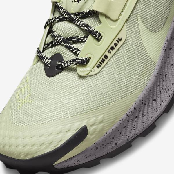 Nike Pegasus Trail 3 GORE-TEX Waterproof Trail Women's Running Shoes Olive / Black / Grey | NK237PKF