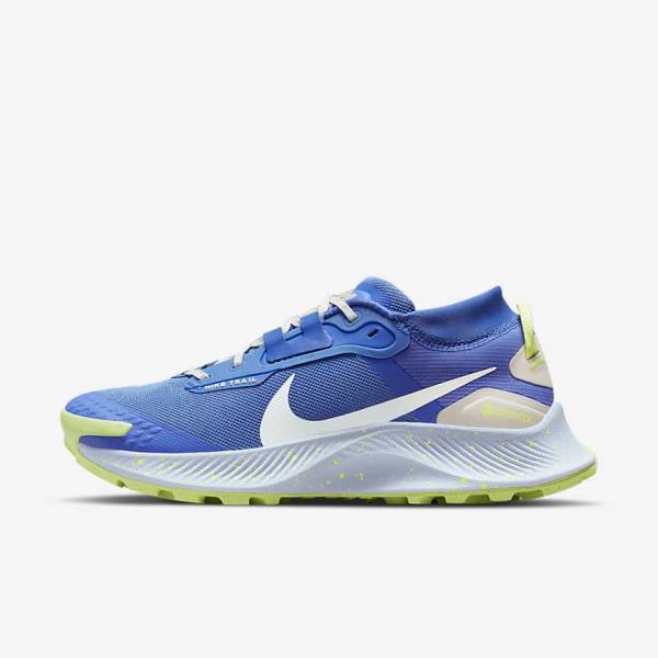 Nike Pegasus Trail 3 GORE-TEX Waterproof Trail Women\'s Running Shoes Blue / Brown / Grey | NK758NKS