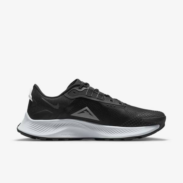 Nike Pegasus Trail 3 Trail Men's Running Shoes Black / Dark Grey / Platinum | NK284UIG