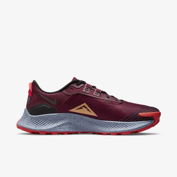 Nike Pegasus Trail 3 Trail Men's Running Shoes Black / Light Red / Brown | NK672CIF