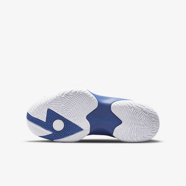 Nike Zion 1 Older Kids' Basketball Shoes Black / Royal / White | NK107IXF