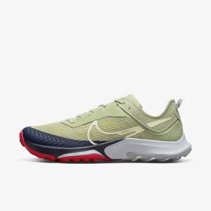 Nike Air Zoom Terra Kiger 8 Trail Men's Running Shoes Olive / Light Beige / Obsidian | NK910AMQ