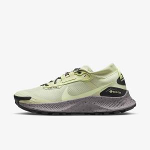 Nike Pegasus Trail 3 GORE-TEX Waterproof Trail Women's Running Shoes Olive / Black / Grey | NK237PKF